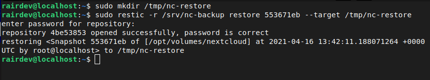 Restic restore files